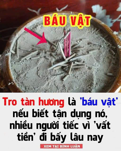Tro tàn hương là ‘báu vật’ nếu biết tận dụng nó, nhiều người tiếc vì ‘vất tiền’ đi bấy lâu nay.