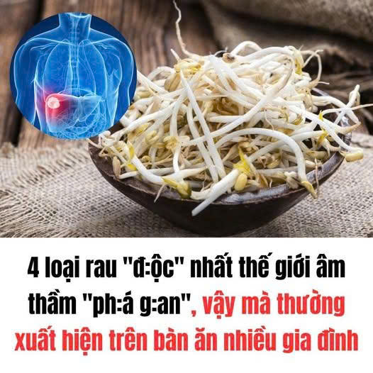 4 loại rau “độc” nhất thế giới âm thầm “phá gan”, vậy mà thường xuất hiện trên bàn ăn nhiều gia đình
