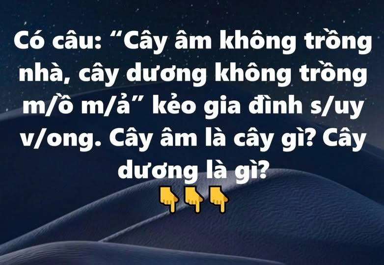 “Cây âm không trồng nhà, cây dương không trồng m/ồ m/ả” kẻo gia đình s/uy v/ong. Cây âm là cây gì? Cây dương là gì?