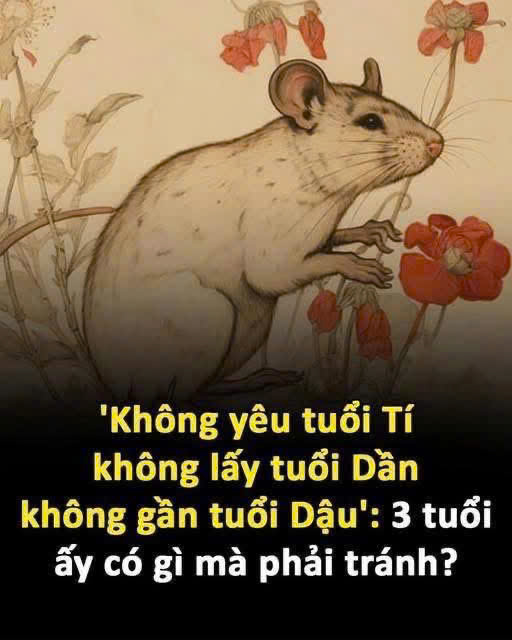 Nghe theo ông bà dặn: Không yêu tuổi Tý, không lấy tuổi Dần, không gần tuổi Dậu, tại sao?