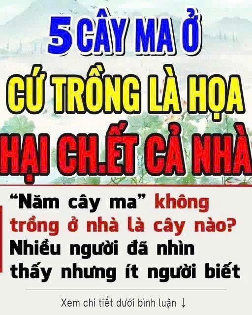 “Năm cây ma” không trồng ở nhà là năm loại cây nào? Ngoài đời nhiều người đã nhìn thấy nhưng ít người biết