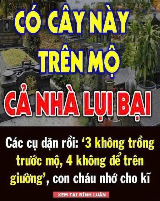 Ông cha ta dặn dò: ‘3 không trồng trước mộ, 4 không để trên giường’, đó là những thứ gì?