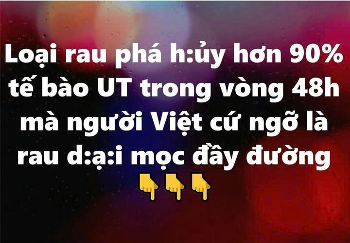 Loại rau phá hủy hơn 90% tế bào UT trong vòng 48h mà người Việt cứ ngỡ là rau dại mọc đầy đường