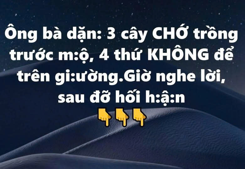 Ông bà dặn: 3 cây CHỚ trồng trước m:ộ, 4 thứ KHÔNG để trên gi:ường – Giờ nghe lời, sau đỡ hối h:ậ:n