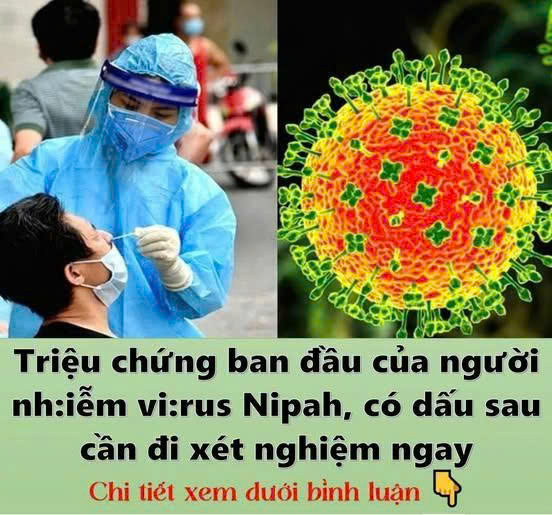 Triệu chứng ban đầu của người nhiễm vi:rus Nipah, có dấu sau cần đi xét nghiệm ngay