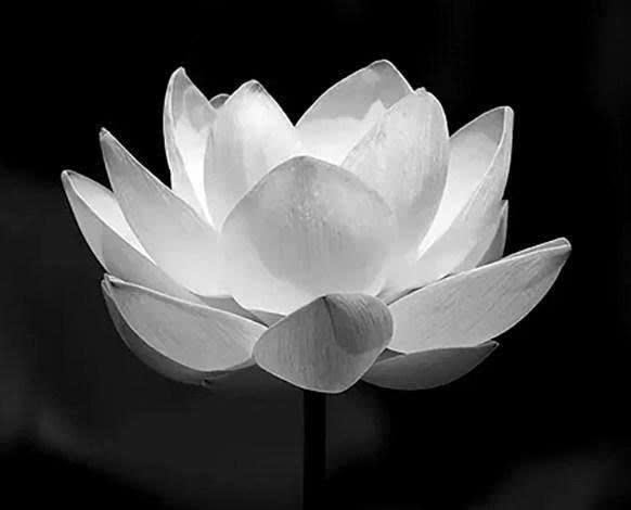 Nghệ sĩ Nhân dân tài hoa, đa đoan, vội vĩnh biệt trần thế ở tuổi 50